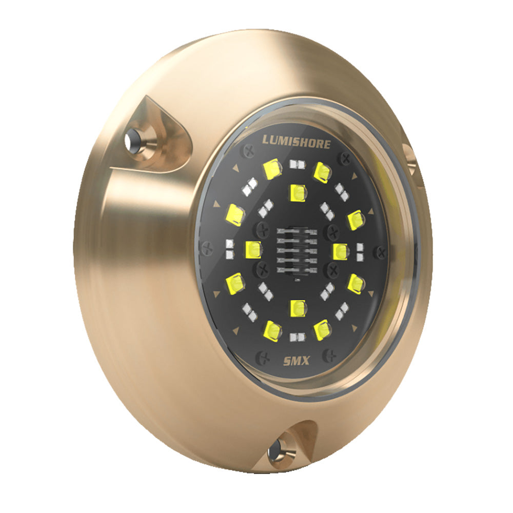 Lumishore ECLIPSE SMX54 Single Surface Mount Underwater Light BlueWhite 0100450500