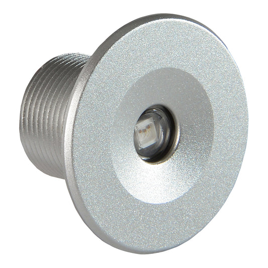 Lumitec Echo Courtesy Light Brushed Housing White Light 112203