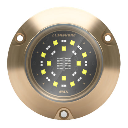 Lumishore ECLIPSE SMX54 Single Surface Mount Underwater  Light BlueWhite 0100450500