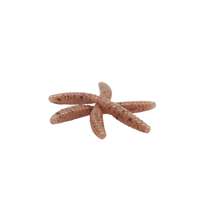1" Wax Worm