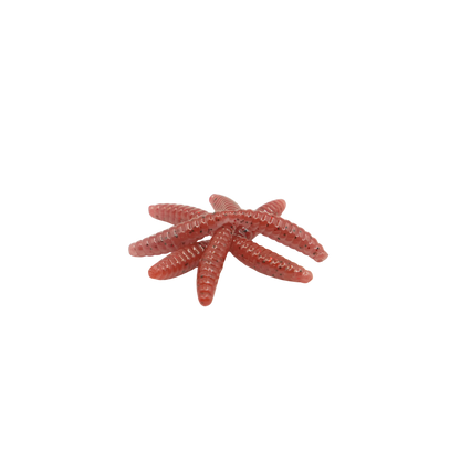 1" Wax Worm