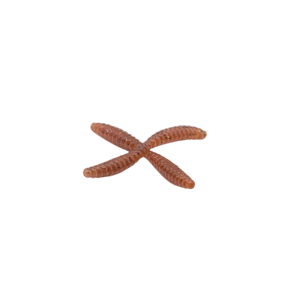 1" Wax Worm